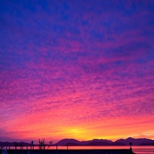 Meet your Posher, Wesley